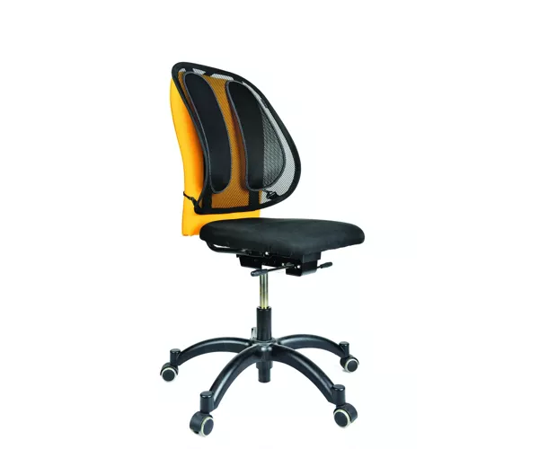Fellowes Office Suites Mesh Back Support