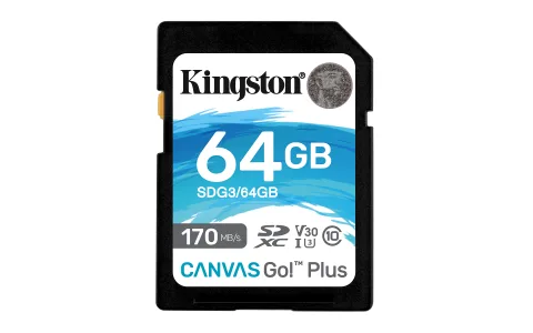 64GB SDXC Canvas Go Plus 170R C10 UHS-I U3 V30