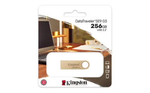 Kingston Technology DTSE9G3/256GB