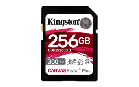 Kingston Technology, 256 GB, 4K
