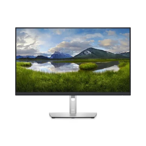 27 Monitor - P2722H - 68.6cm (27")