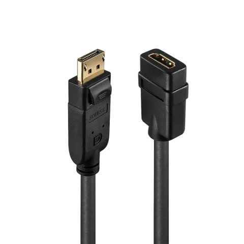 DisplayPort 1.2 to HDMI 1.3 Converter