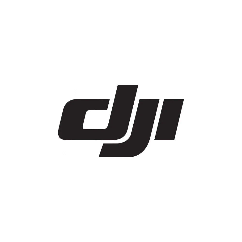 DJI P3 Part 99 Replica Model ( Pro)