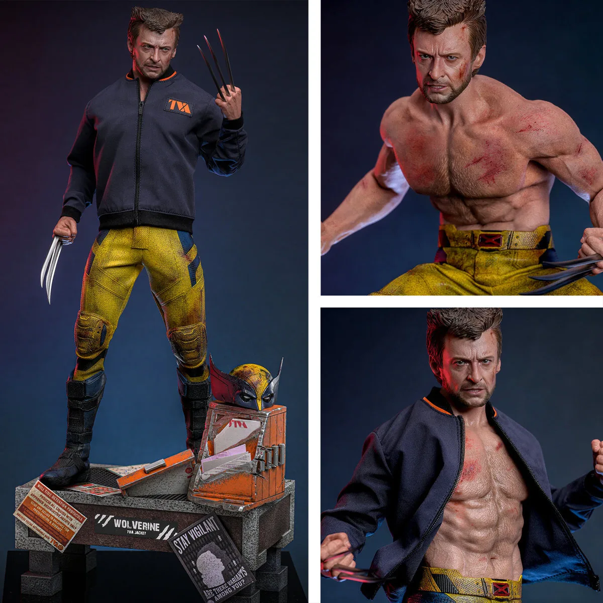 Deadpool und Wolverine Wolverine TVA Jacket Version Hot Toys MMS756 1/6 Figur